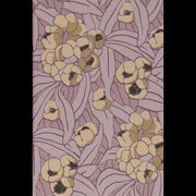 Against Invisibility. Courtesy of Japanisches Palais