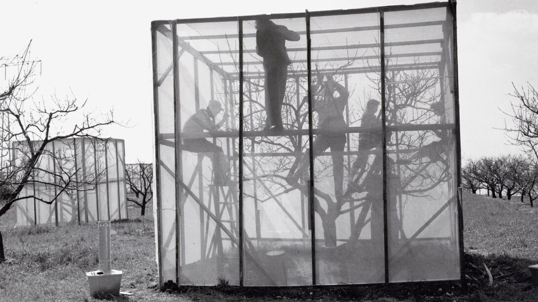 Mike Mandel, Larry Sultan, Untitled, from the series Evidence (détail), 1977. Avec l'aimable autorisation de la Zander Galerie