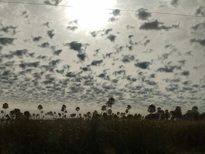 En la ciudad de Corrientes, cada año, durante el mes de enero, se lleva a cabo la “Fiesta Nacional del Chamamé”. Este evento cuenta con un sinfín de grandes artistas de la región, así como también invitados de Uruguay, Paraguay, Brasil y otras provincias del país. Ruta 5 Corrientes, Argentina