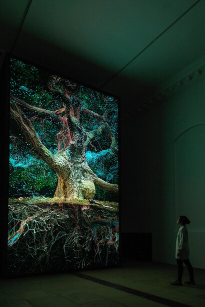 Marshmallow Laser Feast, Of the oak, exhibition view. Courtesy of Yorkshire Sculpture Park