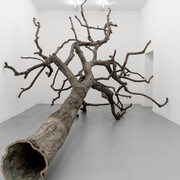 Ariel Schlesinger. Courtesy of Galleria Massimo Minini