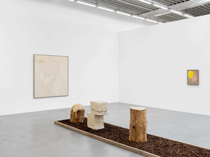 Jenny Brosinski, In my cloud (no birds), vue de l'exposition. Avec l'aimable autorisation de la galerie Almine Rech