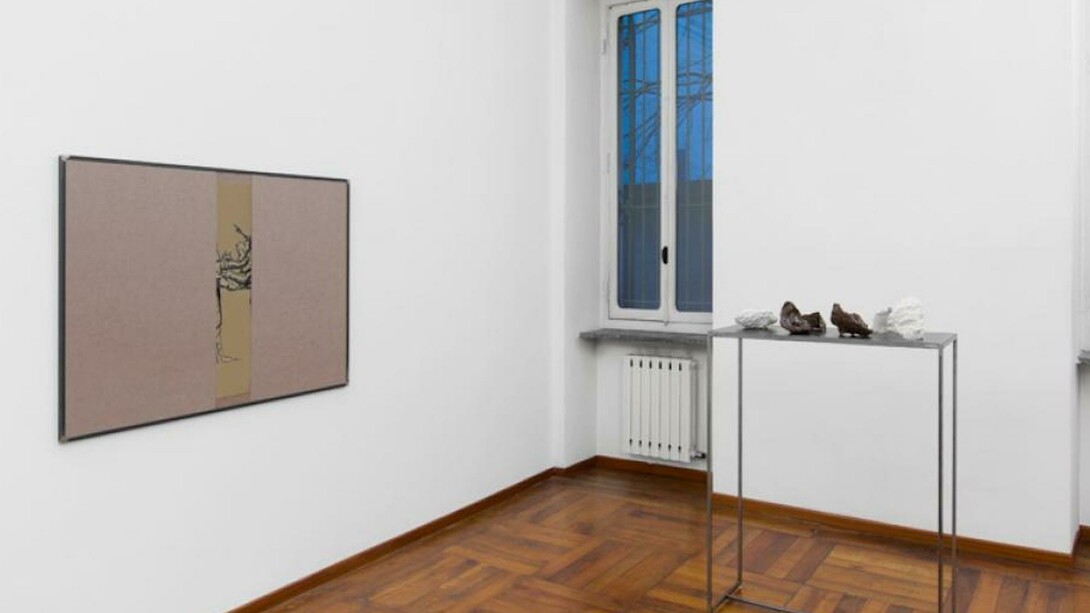 Cosimo Veneziano, exhbiition view. Courtesy of Alberto Peola