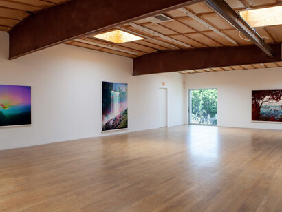 The Limits of Control. Courtesy of Blum & Poe Gallery