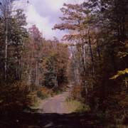 Trevor Paglen, Near lake grove (undated) (detail), 2025. Courtesy of Norton Museum of Art