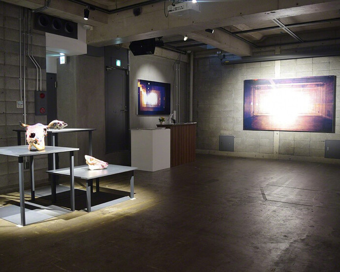 Derivation from the Trunk, Exhibition view. Courtesy of Sezon Art Gallery