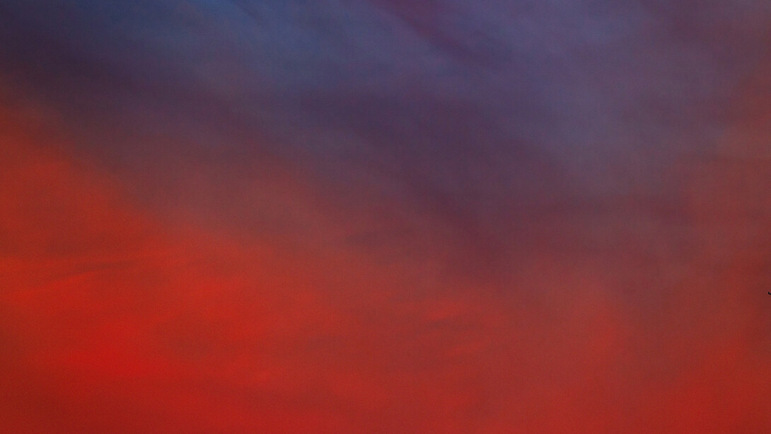 Untitled (Reaper Drone), 2010. [Sin título (Dron Reaper). Cortesía del artista, Metro Pictures, Nueva York; y Altman Siegel Gallery, San Francisco. Courtesy of the artist, Metro Pictures, New York; and Altman Siegel Gallery, San Francisco
