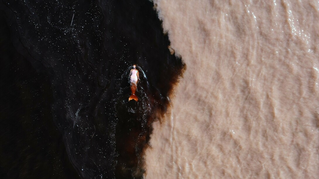 Emilija Škarnulytė, Æqualia. Courtesy of Tate St Ives 