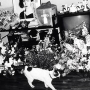 Nobuyoshi Araki, Ohne Titel, aus der Serie Akt-Tokyo, 1971–1991 © Nobuyoshi Araki, Courtesy der Christophe Guye Galerie