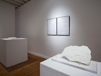 Marie Orensanz, Installation view
