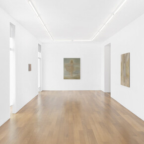 Chechu Álava, Water is taught by thirst, exhibition view. Courtesy of Xippas Gallery