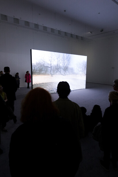 Rachel Rose. Courtesy of Fondazione Sandretto Re Rebaudengo