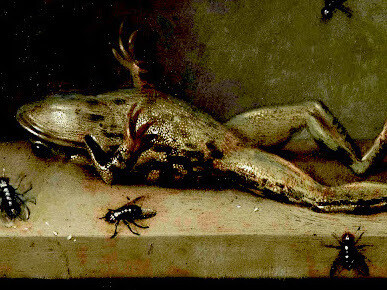 «Rana muerta con moscas» (1630), Ambrosius Bosschaert II