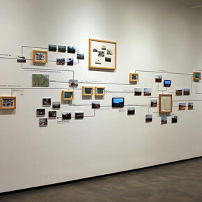 Tiffany Chung. Courtesy of SAAM