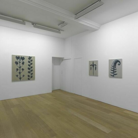 Andrew Mansfield, Installation view, Anthony Reynolds Gallery, London, Copyright the artist