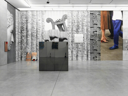 Claudia Wieser. Courtesy of Marianne Boesky Gallery