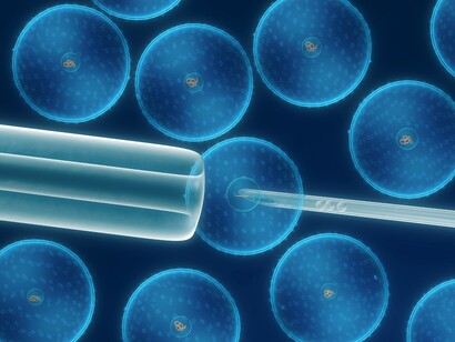 Células humanas al microscopio