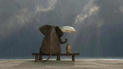 Nel mondo oggi c’è bisogno di gentilezza