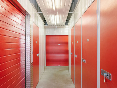 Where Things Live. Courtesy of Musa Museum