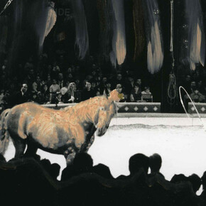 Ming Smith, Pink horse, date unknown. Courtesy of the Columbus Museum of Art