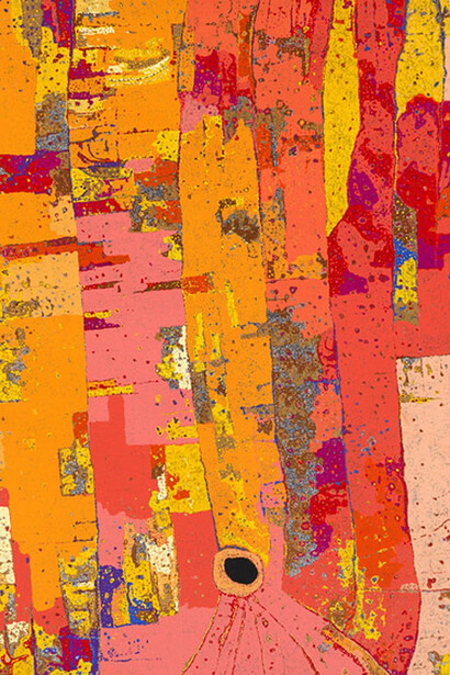 Ever present. First peoples art of Australia, artwork in exhibition. Courtesy of the National Gallery of Australia