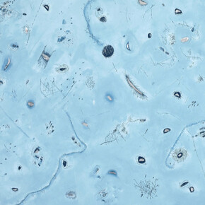 Abby Leigh. Courtesy of Johannes Vogt Gallery 