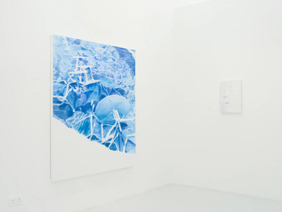 Luke Heng, Mechanics of the snap, exhibition view. Courtesy of Yeo Workshop