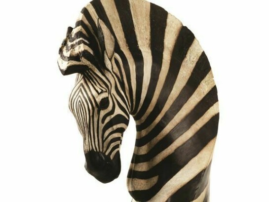 Jonathan Kingdon, Hartmann’s Mountain Zebra, Bronze, Edition of 10
