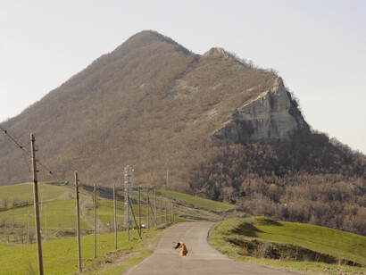 Alessandra Neri, My Place, My Roots (2018), cm 32x42