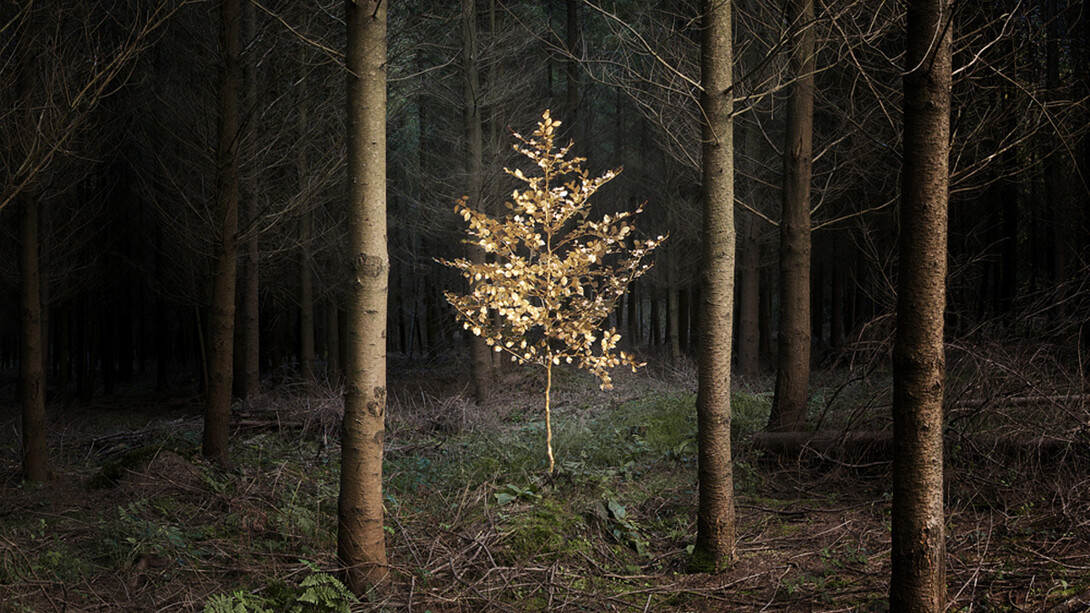 Ellie Davies (b. 1976) ‘Smoke and Mirrors 5’, 2010