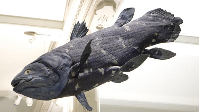 Hall of Vertebrate Origins. Courtesy of American Museum of Natural History