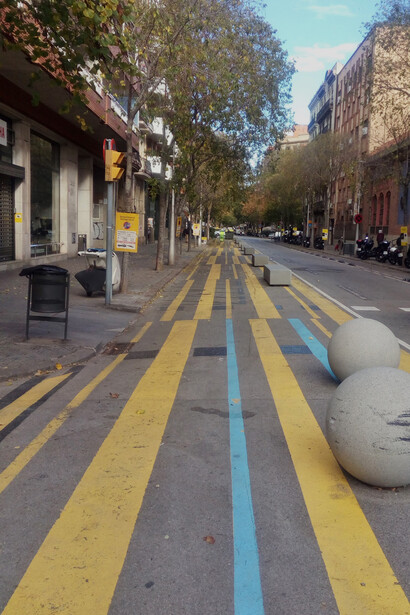 Manadas de corderos con la boca tapada caminan despacio entre las rayas (fotografía de Paco Cerezo)