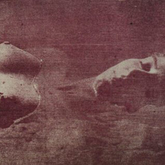 Florian Steiner, Ofelia II - tierra caliente (detail), 1962 - 1973. Courtesy of El Dorado Space