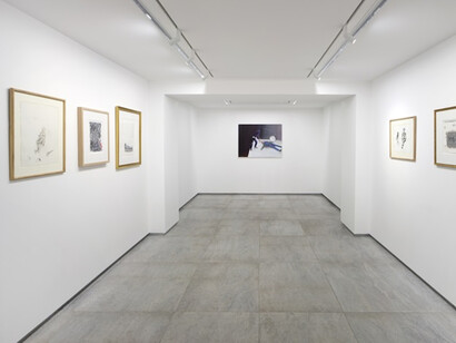 Martial Raysse. La Belle Jeune, Exhibition view. Courtesy of Galerie kamel mennour