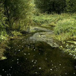 Ellie Davies, Chalk Streams. Courtesy the artist