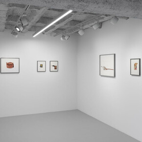 Anca Munteanu Rimnic, Treatise on Bruises, exhibition view. Courtesy of Galerie Plan B