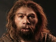 L'uomo di Neanderthal