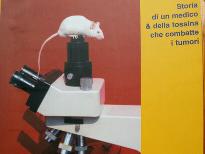 Silvio Buzzi - "Storia di una ricerca privata", copertina