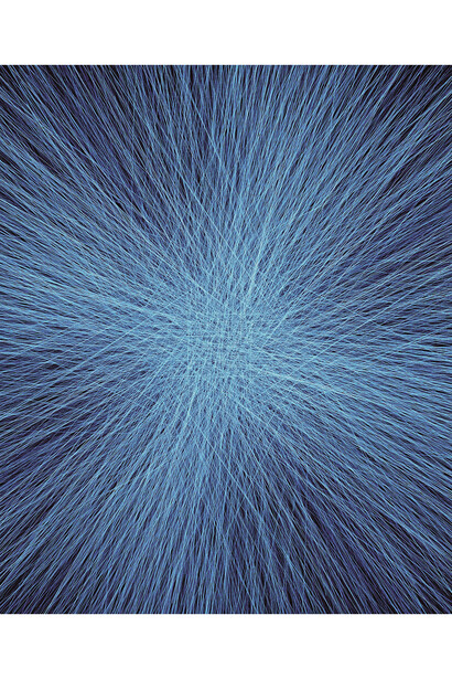 Niko Luoma, Radius#2, 2011