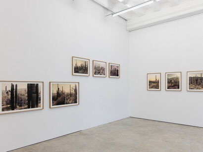 Various artists, The art of renewal, exhibition view. Courtesy of Persons Projects 