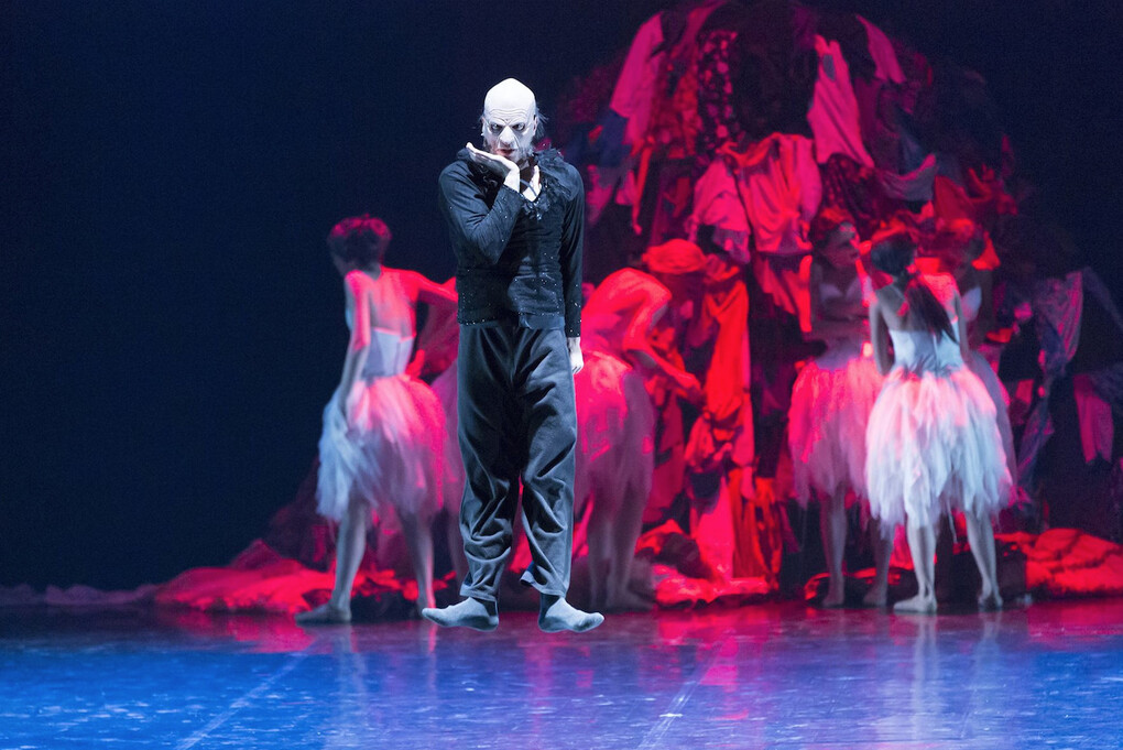 Il lago dei cigni. Foto Gabriele Orlandi