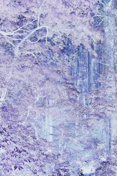 Justin Brice Guariglia, Kasugayama primeval forest, Nara (detail), 2026. Courtesy of Flowers Gallery