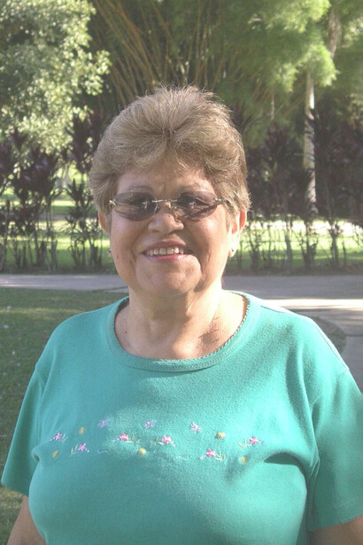 Florcitas blancas iluminadas por la luz