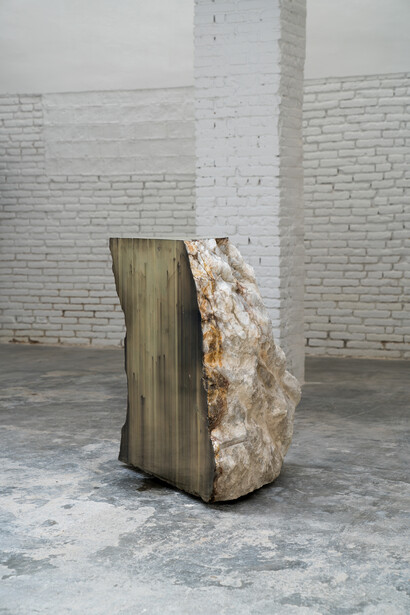 Michael Joo. Courtesy of Galeria Carles Taché