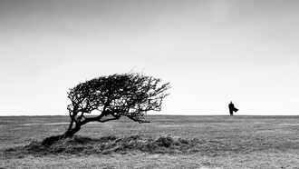 Résilience 