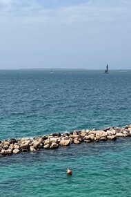 Le cozze di Taranto sono note per la loro qualità, legata alle caratteristiche ambientali dello Ionio e del Mar Piccolo, dove crescono in acque salmastre. Corso due Mari, Taranto, Puglia, Italia