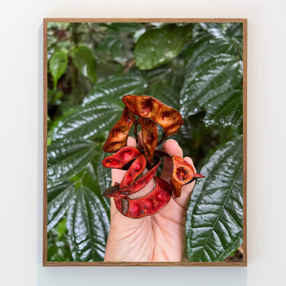 Lucía Pizzani, Turgua, C-print. Courtesy of the Bosse & Baum Gallery