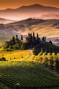 Chianti Landscape