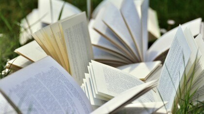 Immaginiamo molto più di quello che troviamo scritto in un romanzo