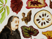 Renée Stout, Botanical illustration #3 (the Herbmaster, James Luna), 2020. Collection of the Nasher Museum of Art at Duke University, Durham, North Carolina. Museum purchase, 2021.23.1. Courtesy of Renée Stout and Pérez Art Museum Miami. Photo by Peter Paul Geoffion